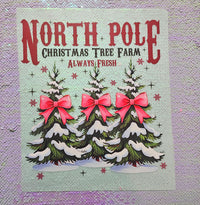 NORTH POLE