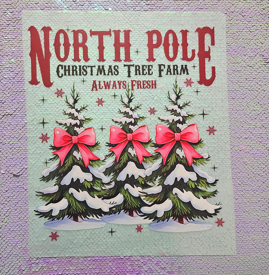 NORTH POLE