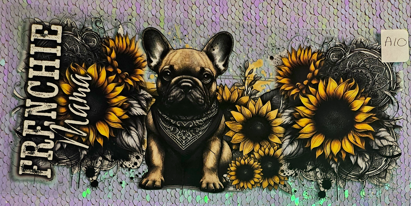 Dog 4