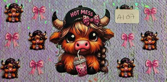Highland Cow 50