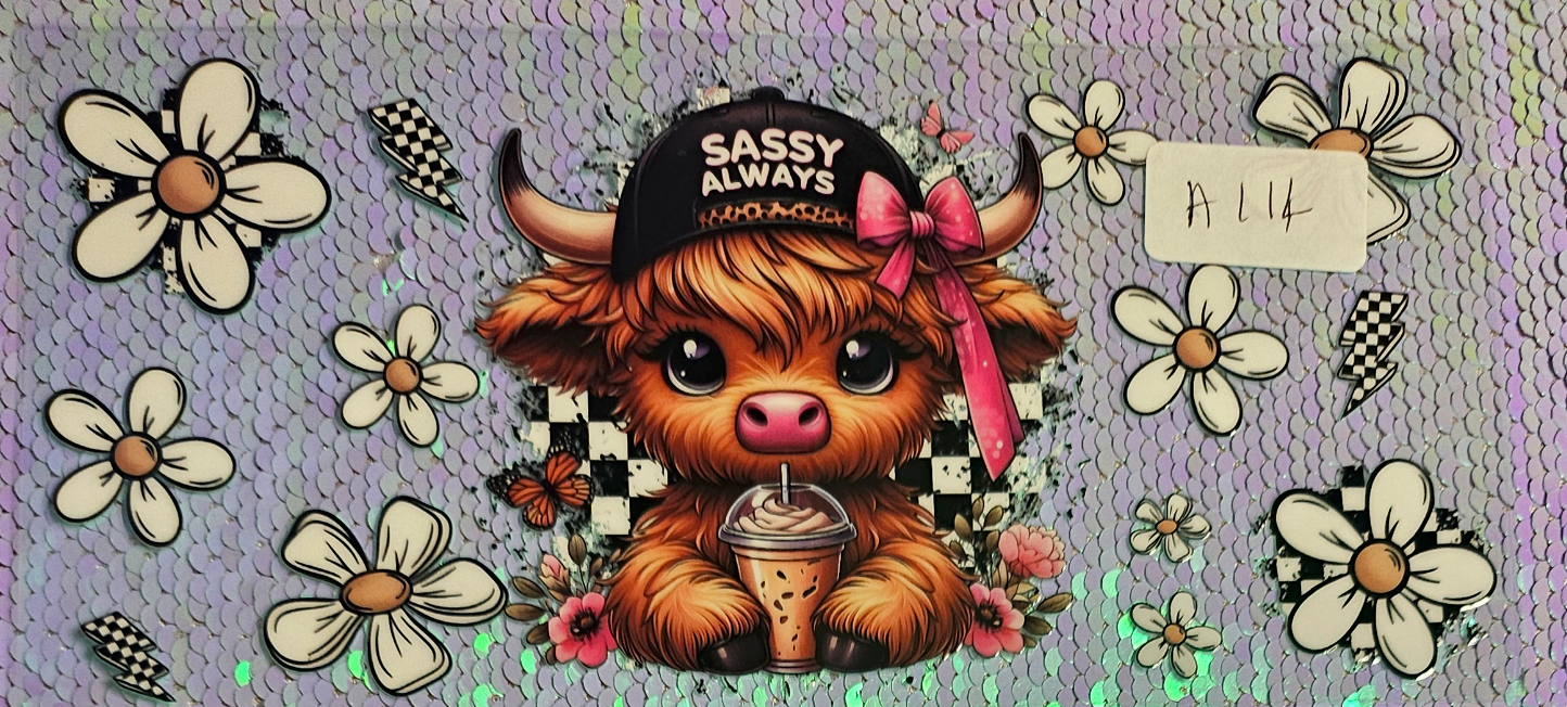 Highland Cow 57