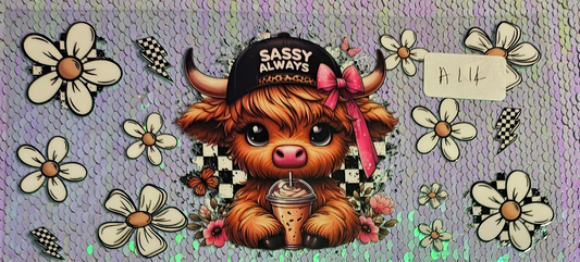 Highland Cow 57