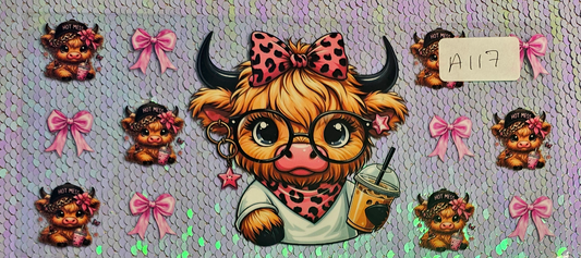 Highland Cow 60