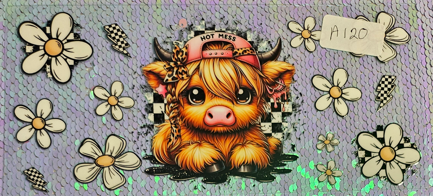 Highland Cow 63