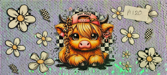 Highland Cow 63