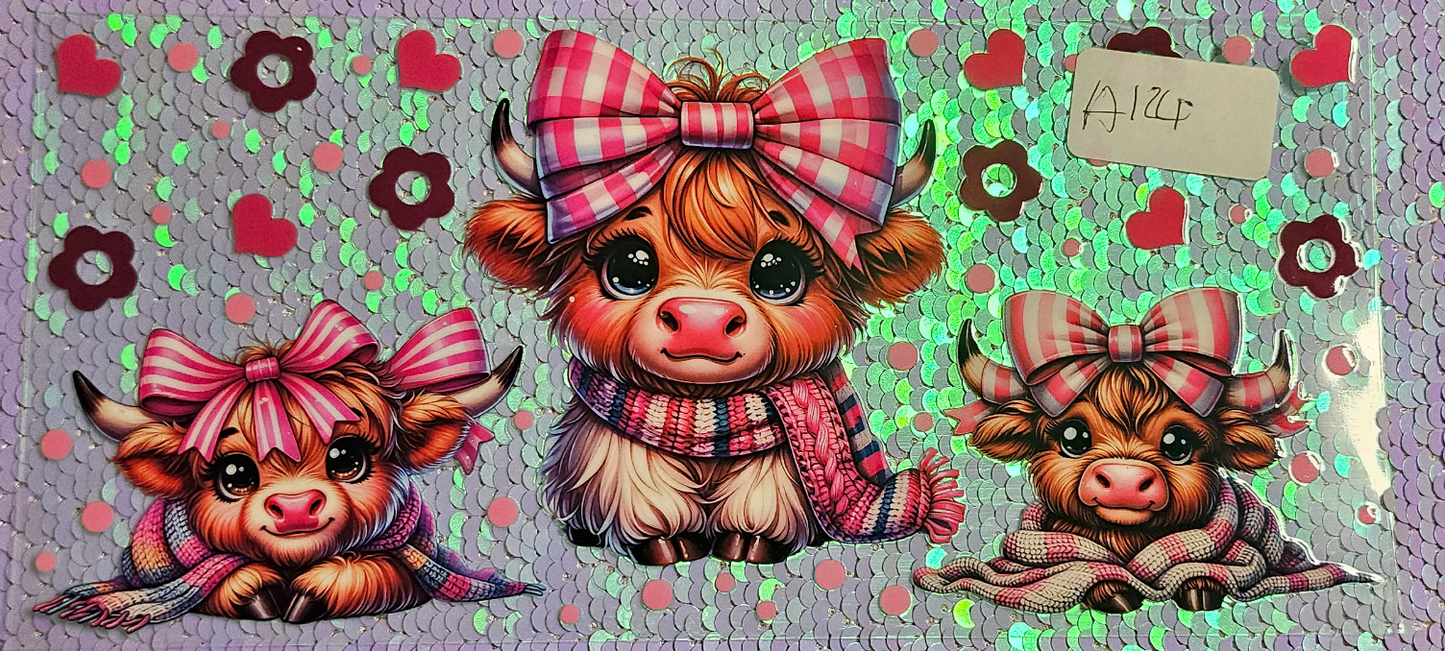 Highland Cow 67