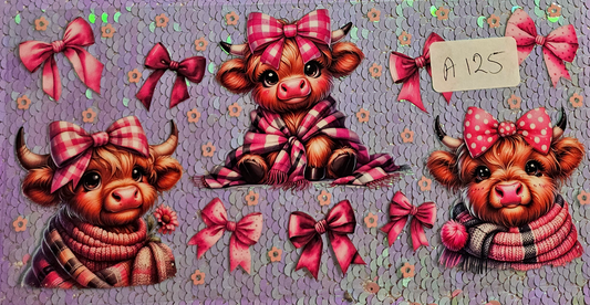 Highland Cow 68