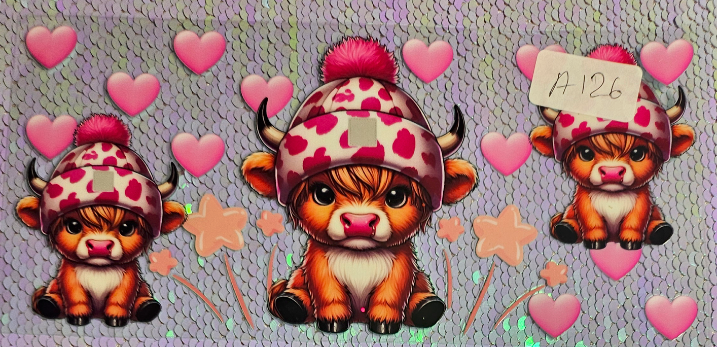 Highland Cow 69