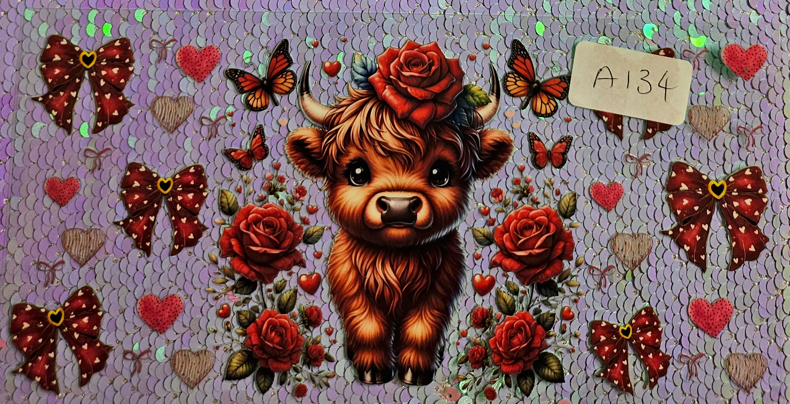 Highland Cow 77
