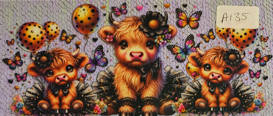Highland Cow 78