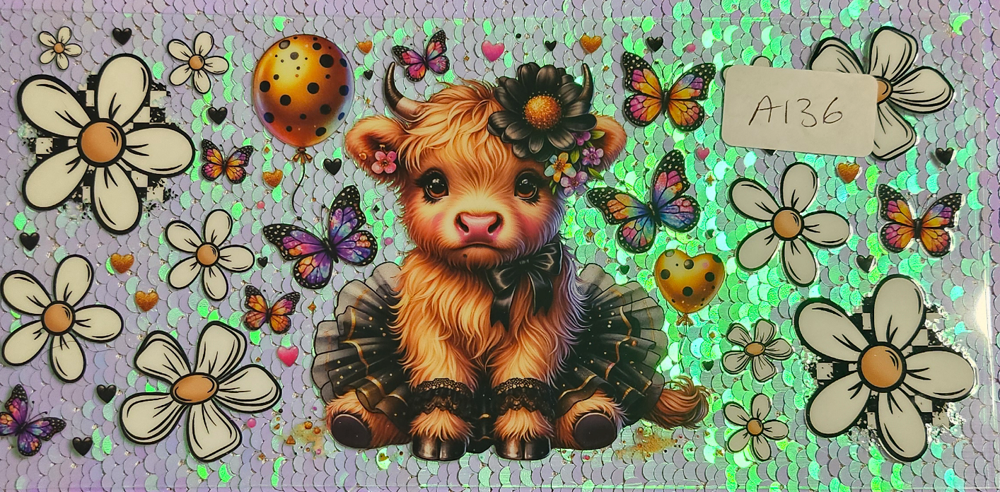 Highland Cow 79