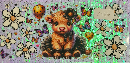 Highland Cow 79