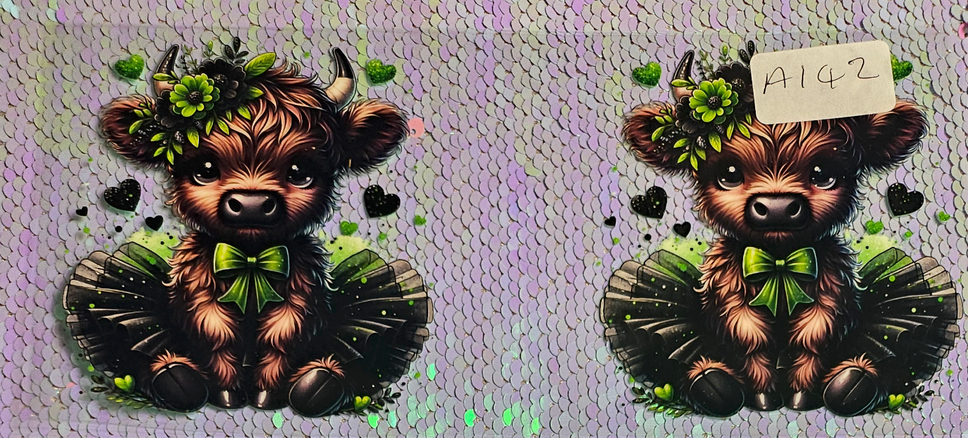 Highland Cow 85