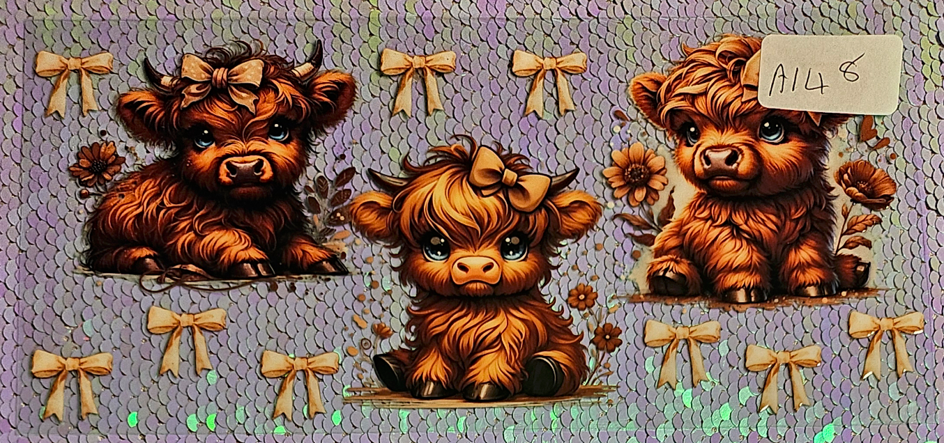 Highland Cow 89