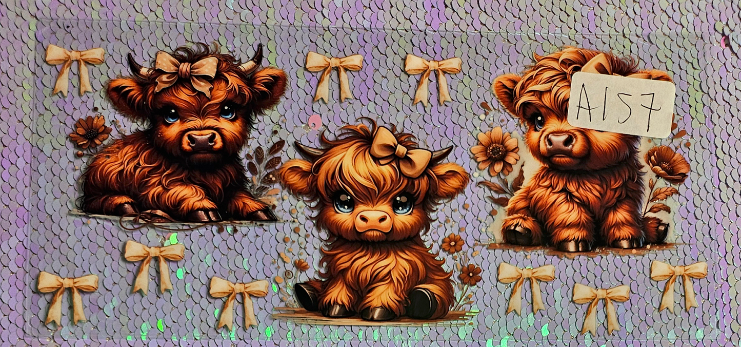 Highland Cow 92