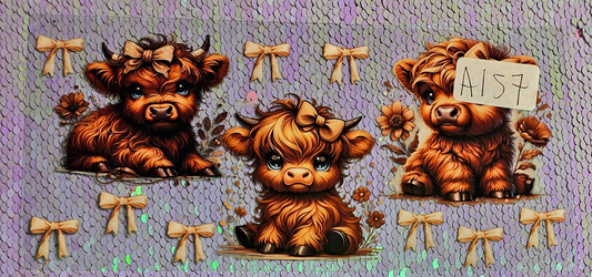 Highland Cow 92