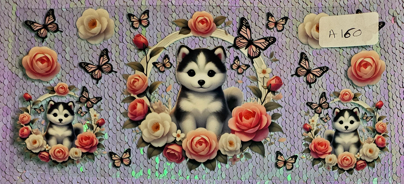 Dog 7
