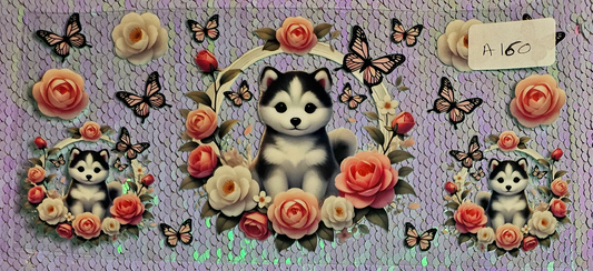 Dog 7