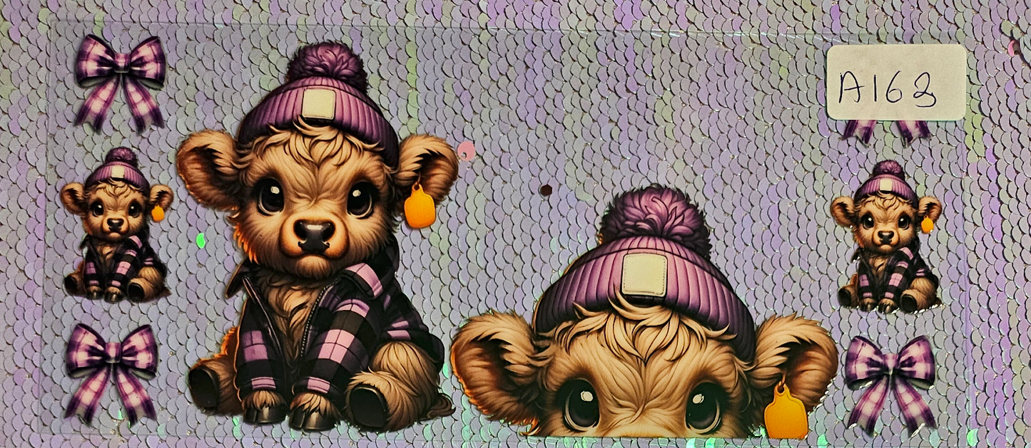 Highland Cow 94