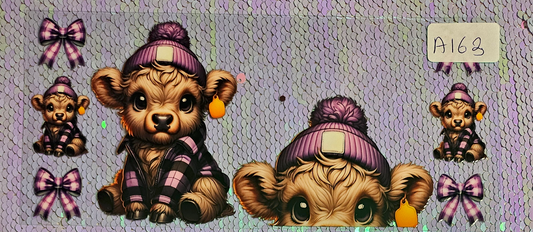 Highland Cow 94