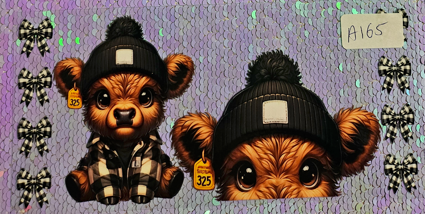 Highland Cow 95