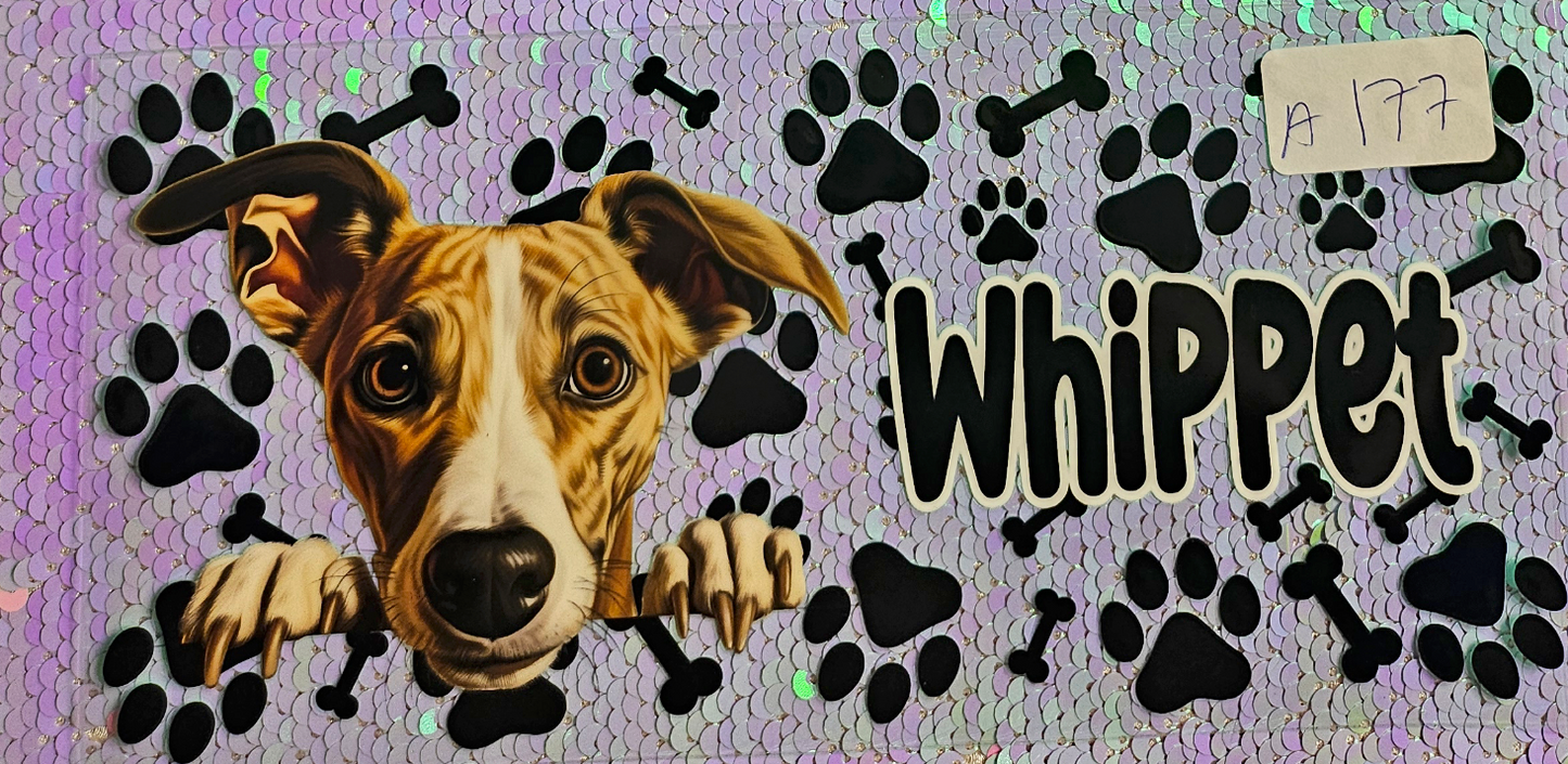 Dog 16