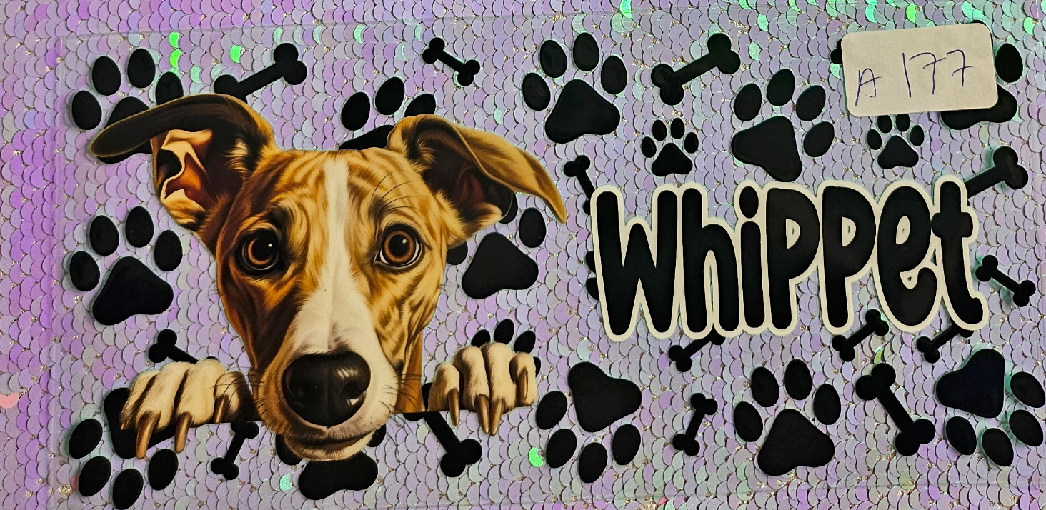 Dog 16