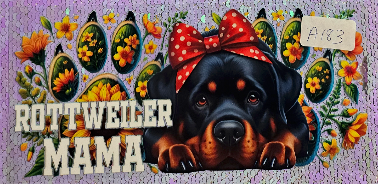 Dog 22