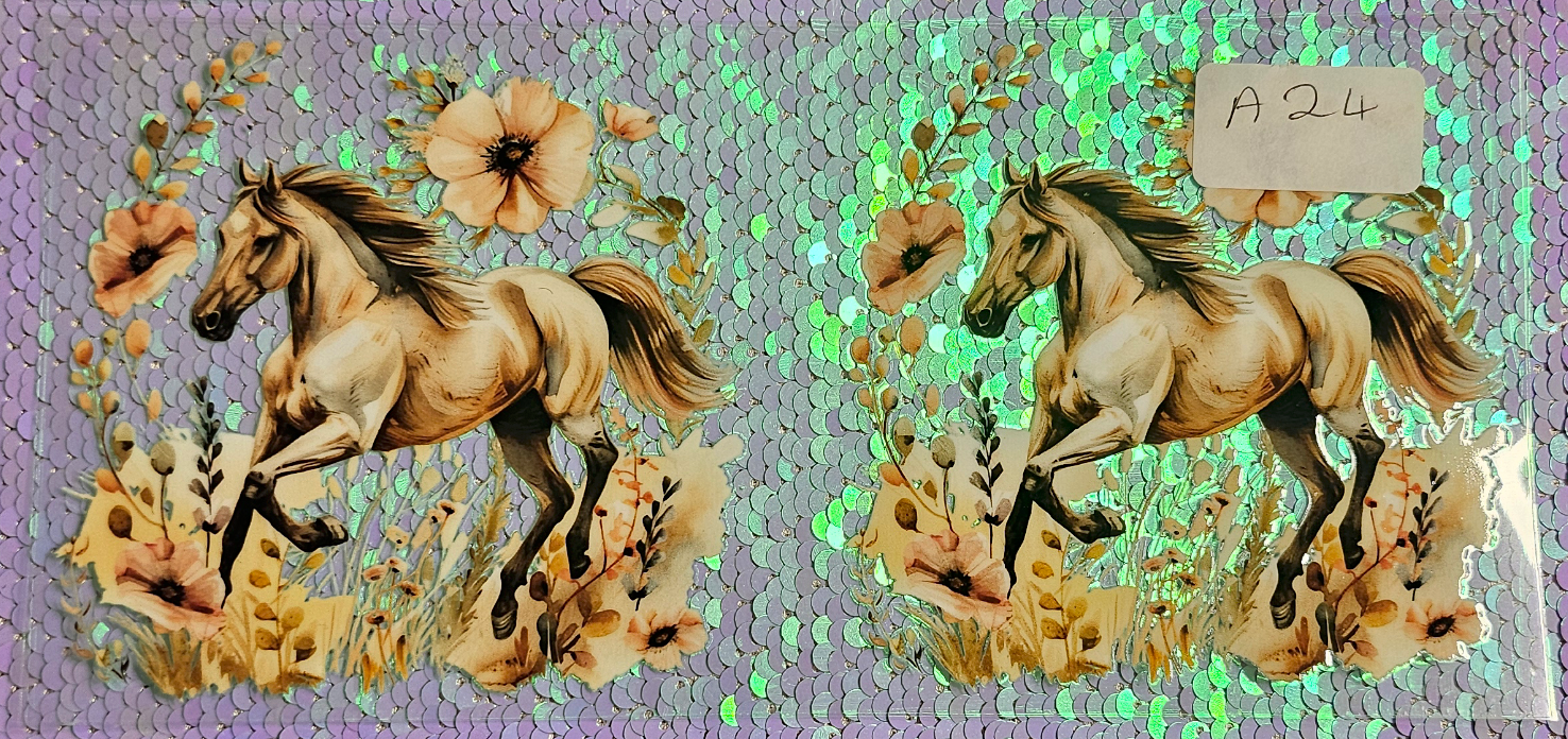 Horse 11