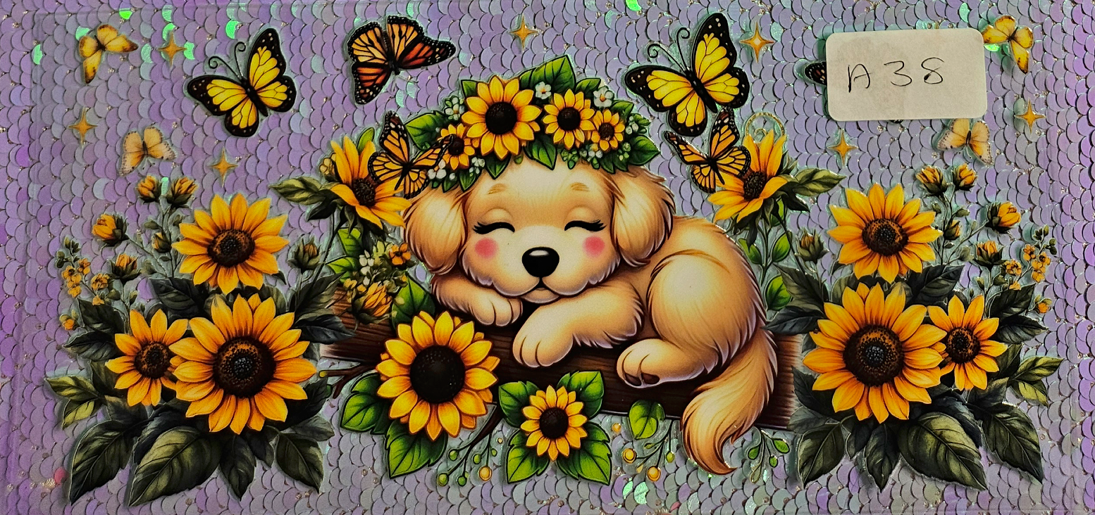 Dog 5