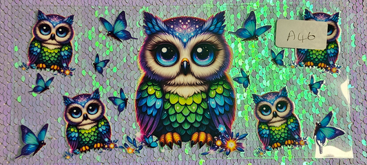 Owl 1