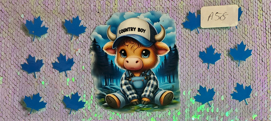 Highland Cow 1