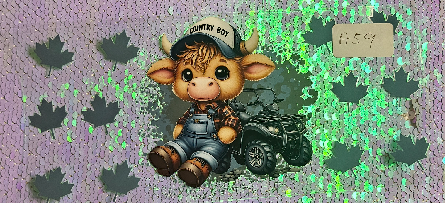 Highland Cow 2