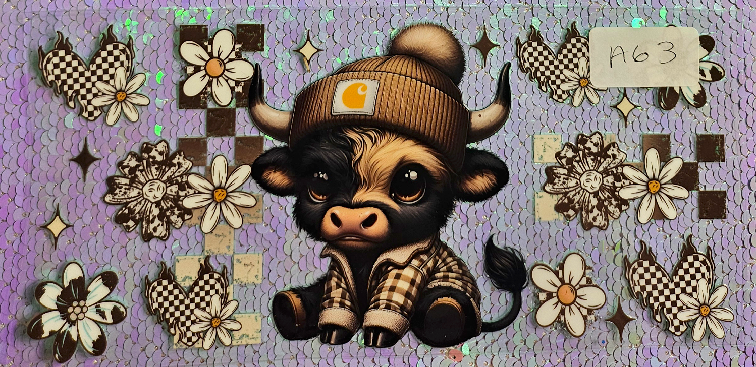 Highland Cow 6