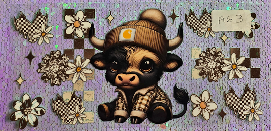 Highland Cow 6