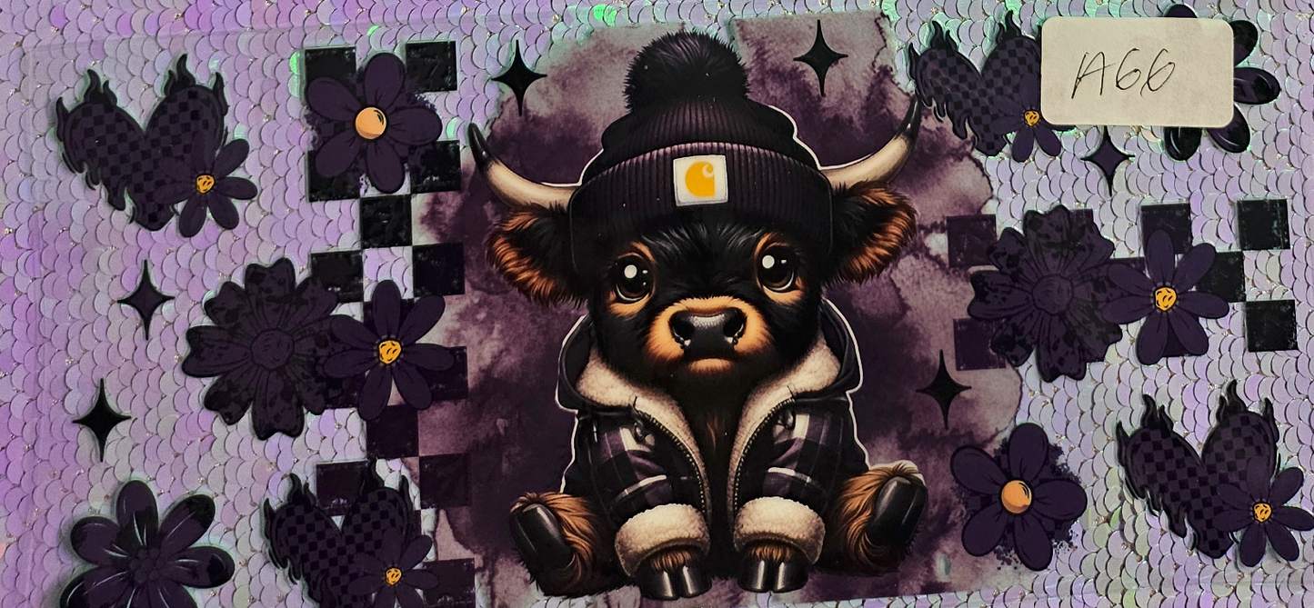 Highland Cow 9