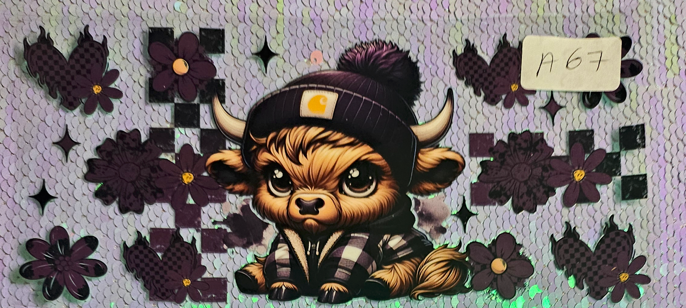 Highland Cow 10