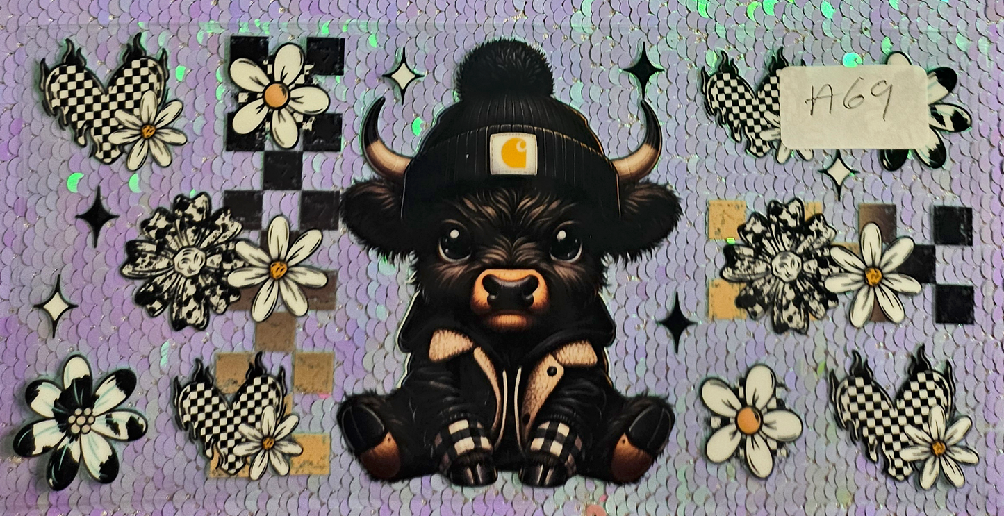 Highland Cow 12