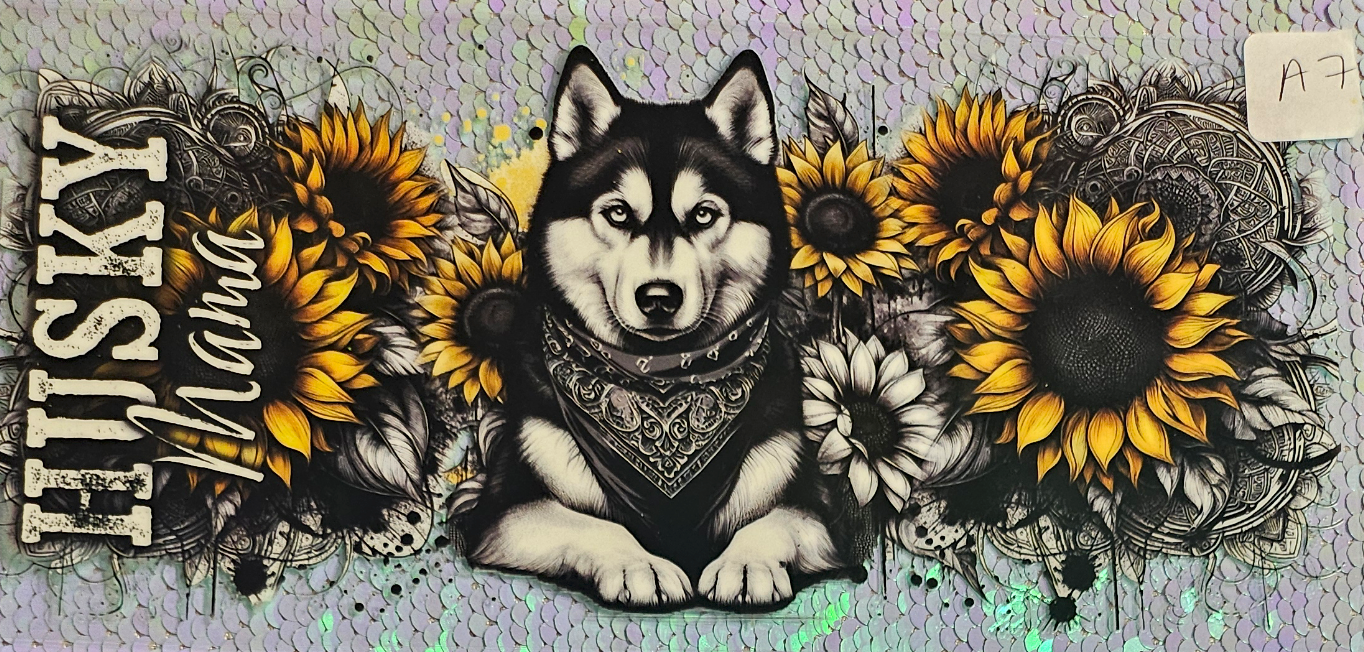 Dog 1