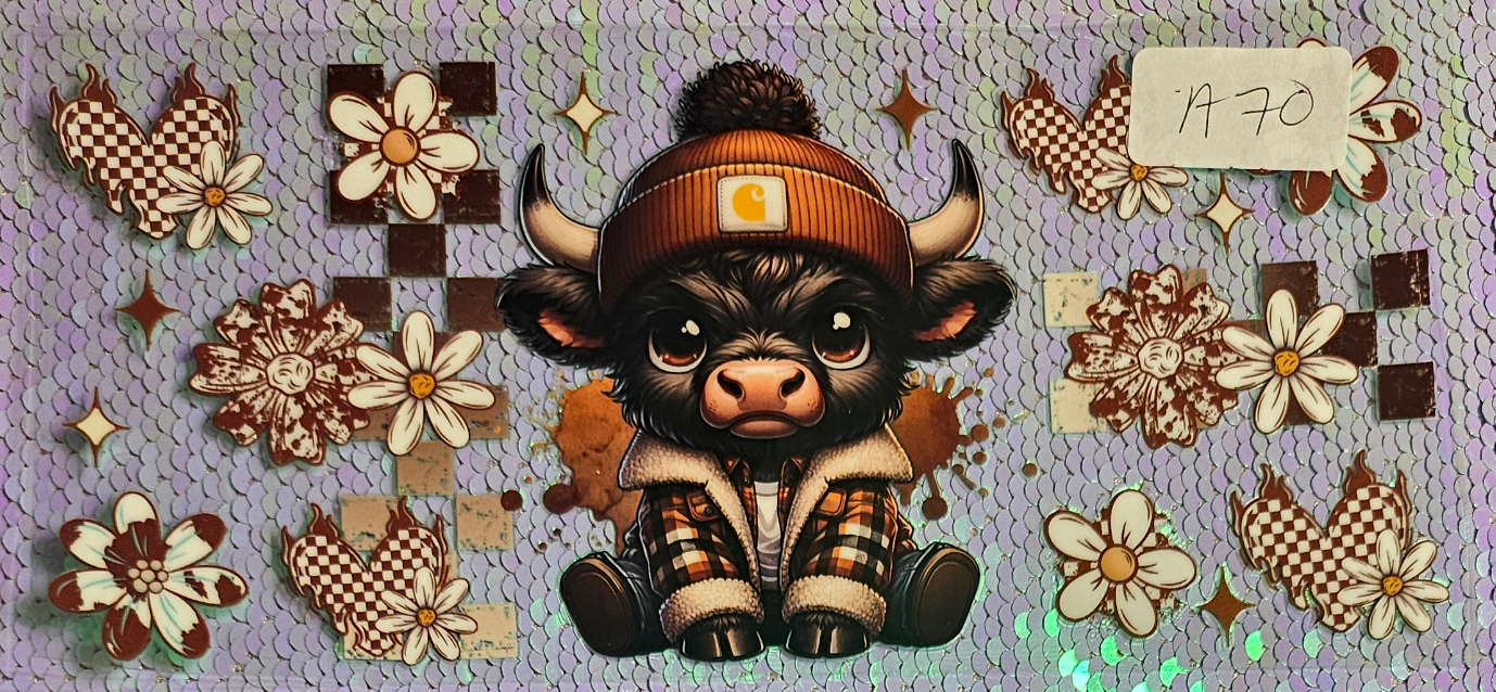 Highland Cow 13