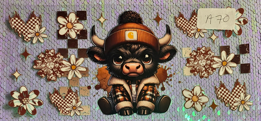 Highland Cow 13