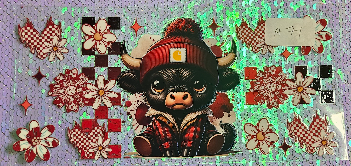 Highland Cow 14