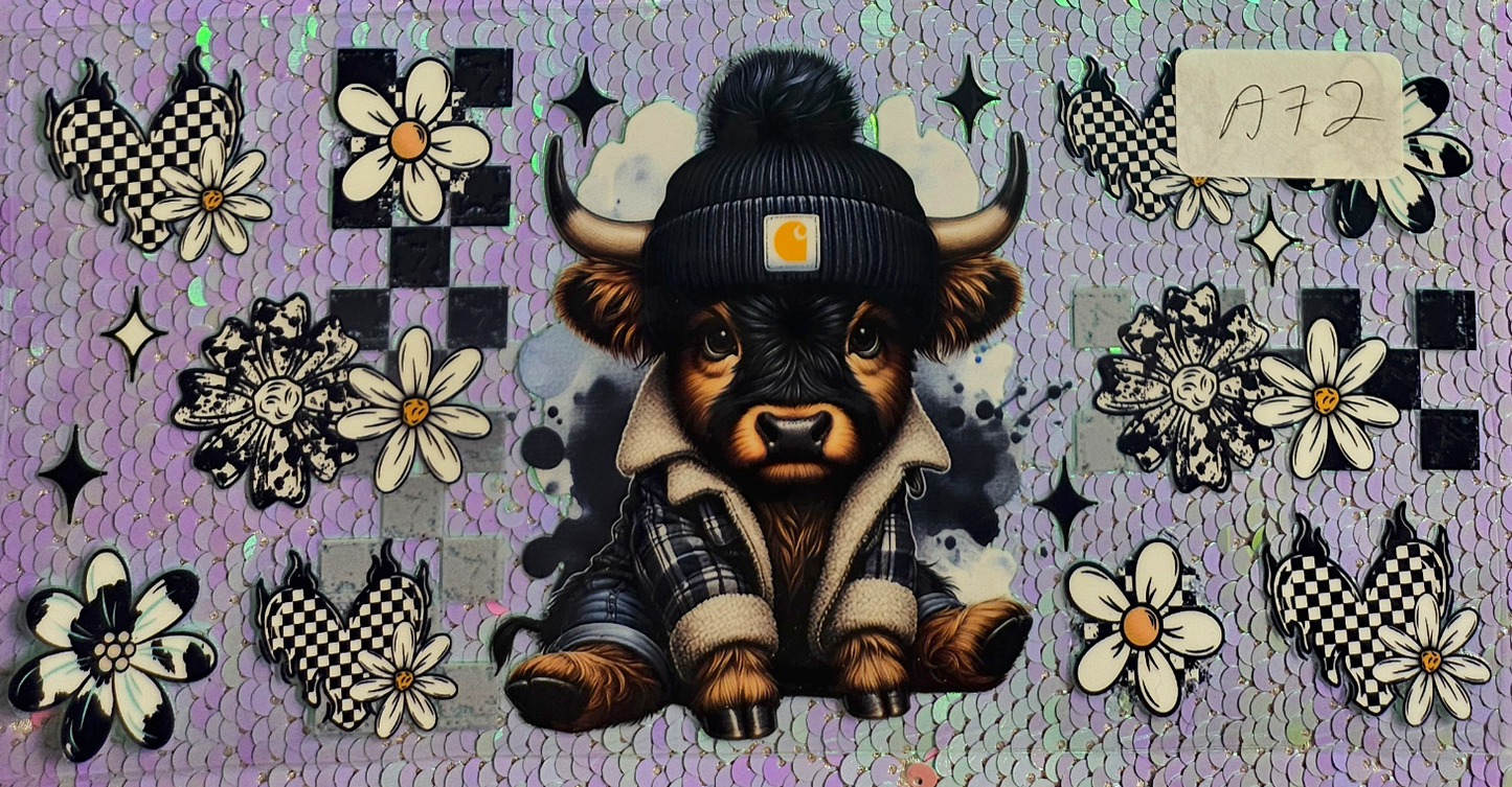 Highland Cow 15