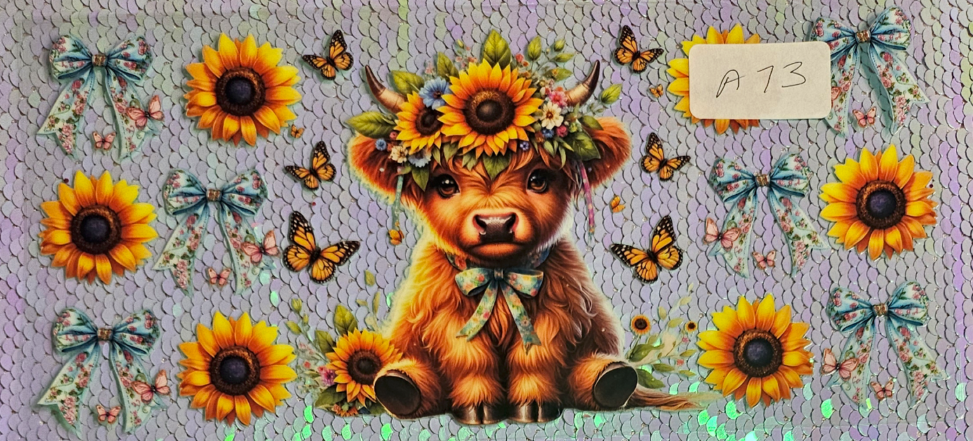 Highland Cow 16