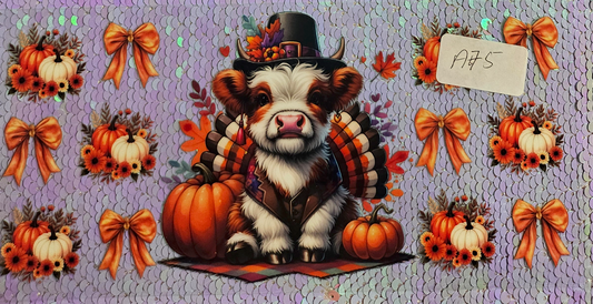 Highland Cow 18