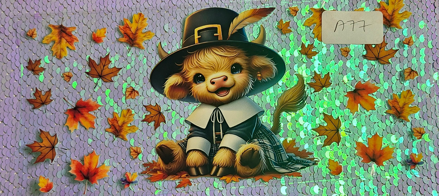 Highland Cow 20