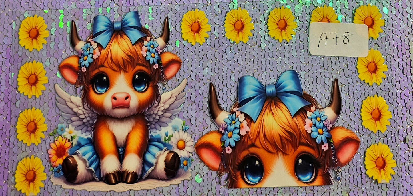 Highland Cow 21