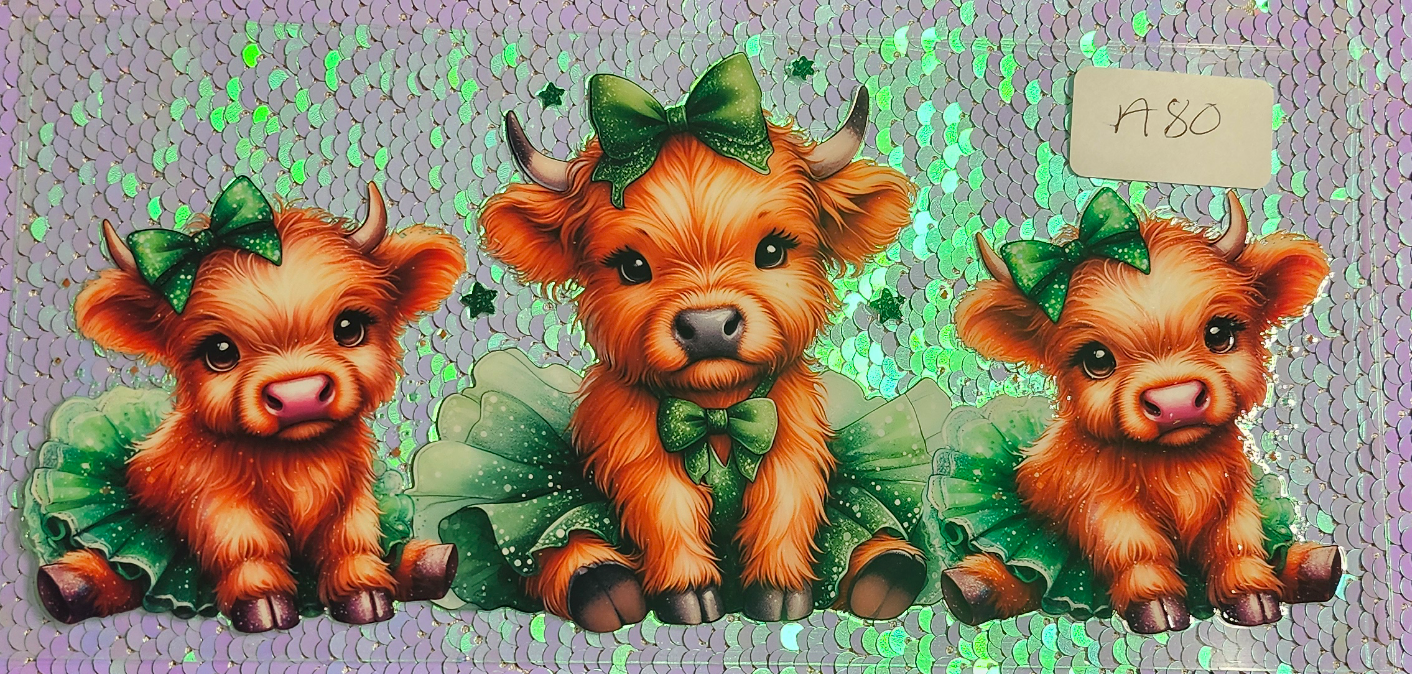 Highland Cow 23
