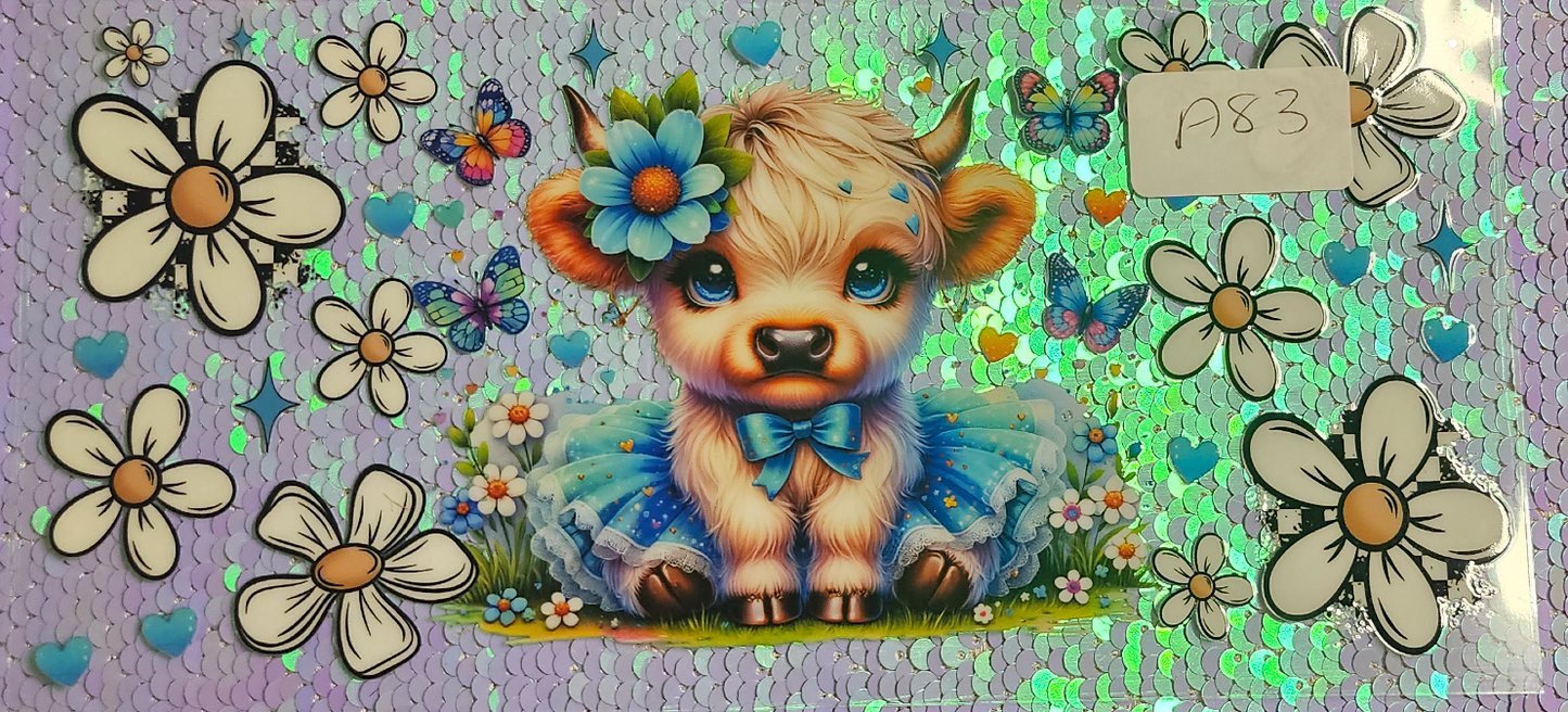Highland Cow 26