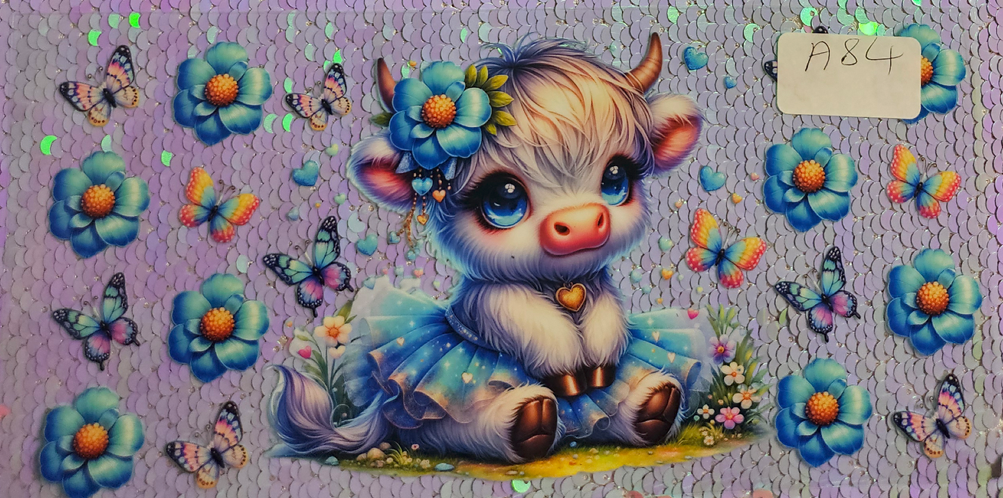 Highland Cow 27